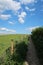 Public footpath along farm fencing over the Sussex Southdowns in England.