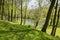 Public gardens in Chotebor with pond during spring season, romantic scene, water reflections