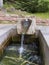 Public Kneipp pool at the foot of the local mountain Merkur in Baden-Baden