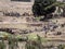 Public laundry on a mountain stream, May 4Th. 2019, Mountains, Ethiopia