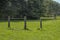 Public nature Playground at Park Hitland in Nieuwerkerk aan den IJssel