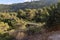 The public  Nesher Park suspension bridges in Nesher city in northern Israel