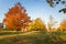 Public Park in Autumn under Clear Sky