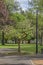 Public park landscape and trees Oregon