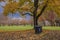 Public park in a stormy weather Oregon state