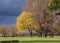 Public park in a stormy weather Oregon state