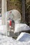 Public phone covered by snow