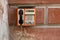 Public phone on grunge wall