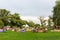 Public picnic outdoors. People rest on a green lawn on a hot summer day