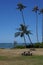 Public picnic tables and benches with palm trees overlooking the ocean