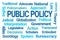 Public Policy Word Cloud