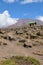 Public restroom against a Mountain background, Mount Kilimanjaro