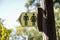 Public Restrooms sing for men and women on yellow background, attached to a wood log. Restrooms in nature, parks, outdoors,