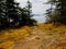 Public Ruckle Provincial Park shoreline on the Salt Spring Island