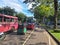 public transport buses engaged in a dynamic race along a bustling city road