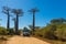 Public transport truck of Madagascar at the avenue Baobab trees allee near Morondava