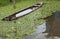 pucallpa , abandoned boats broken and sunk in lake yarinacocha ucayali peru