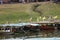 pucallpa peru, yarinococha lagoon tourist place with boats