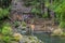 PUCON, CHILE - SEPTEMBER, 23, 2018: Outdoor view of unidentified people walking close to the waterfalls at Pucon, Chile