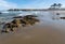 Pudding Creek beach at low tide