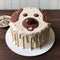 Pudding Face Cake: Adorable Dog Themed 2d Cake Design
