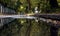 Puddle on the avenue with reflection of autumn trees