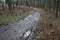 Puddle on the footpath