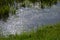 puddle in grass after heavy rain with bokeh effect in october