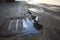 Puddle on the pavement, palm trees reflected in the water. water flows into the sewer drain