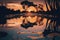 puddle of water reflecting the sky during sunset, with a silhouette of trees in the background