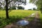 Puddles on a country road