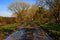 Puddles down a muddy country lane