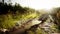 Puddles and mud and green grass on a dirt road