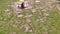 Puddles on a wet playground after rainy day in a forest shows lonely playground due to rainy weather for kids as outdoor adventure