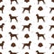 Pudelpointer seamless pattern. Different poses, coat colors set