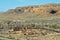 Pueblo del Arroyo in Chaco Canyon Desert Landscape, Chaco Culture National Historical Park, New Mexico, USA