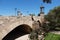 Puente del Real bridge in Turia park in Valencia, Spain