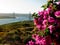 Puente Internacional del Guadiana, Bridge over the Guadiana River in Ayamonte, Huelva. Spain