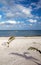 Puerto Juarez fishing boat in harbor as seen from beach as seen from beach in Puerto Juarez harbor in Cancun Mexico