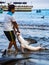 Puerto Lopez, Ecuador / Aug 19, 2016: Fisherman drags a dead shark onto the beach for processing