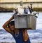 Puerto Lopez, Ecuador - Aug 19, 2016: Man carries bin of fish up the beach from the boat to the waiting processor trucks