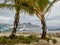 Puerto Plata Port: Embarking on Caribbean Dreams - A Tropical Haven for Cruise Ships and Vacationing Tourists Amidst Dominican