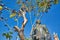 Puerto Vallarta, Mexico-20 April, 2018: Ignacio Vallarta monument in front of Our Lady of Guadalupe church in historic city center