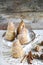 Puff pastry wrapped pears baked with cinnamon, sesame and walnuts