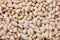 Puffed rice texture, Indian popped sweet rice