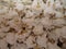Puffed sorghum food item for multipurpose use