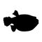 Puffer Fish (Tetraodontidae) Swimming On a Side View Silhouette Found In Map Of Ocean Worldwide.