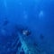 Puffer Fish Wildlife ocean fish tetraodon swimming near shipwreck in scuba diving Deep Sea in Thailand