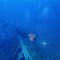 Puffer Fish Wildlife ocean fish tetraodon swimming near shipwreck in scuba diving Deep Sea in Thailand