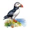 Puffin, Bird Illustration. Watercolor Style. AI Generated